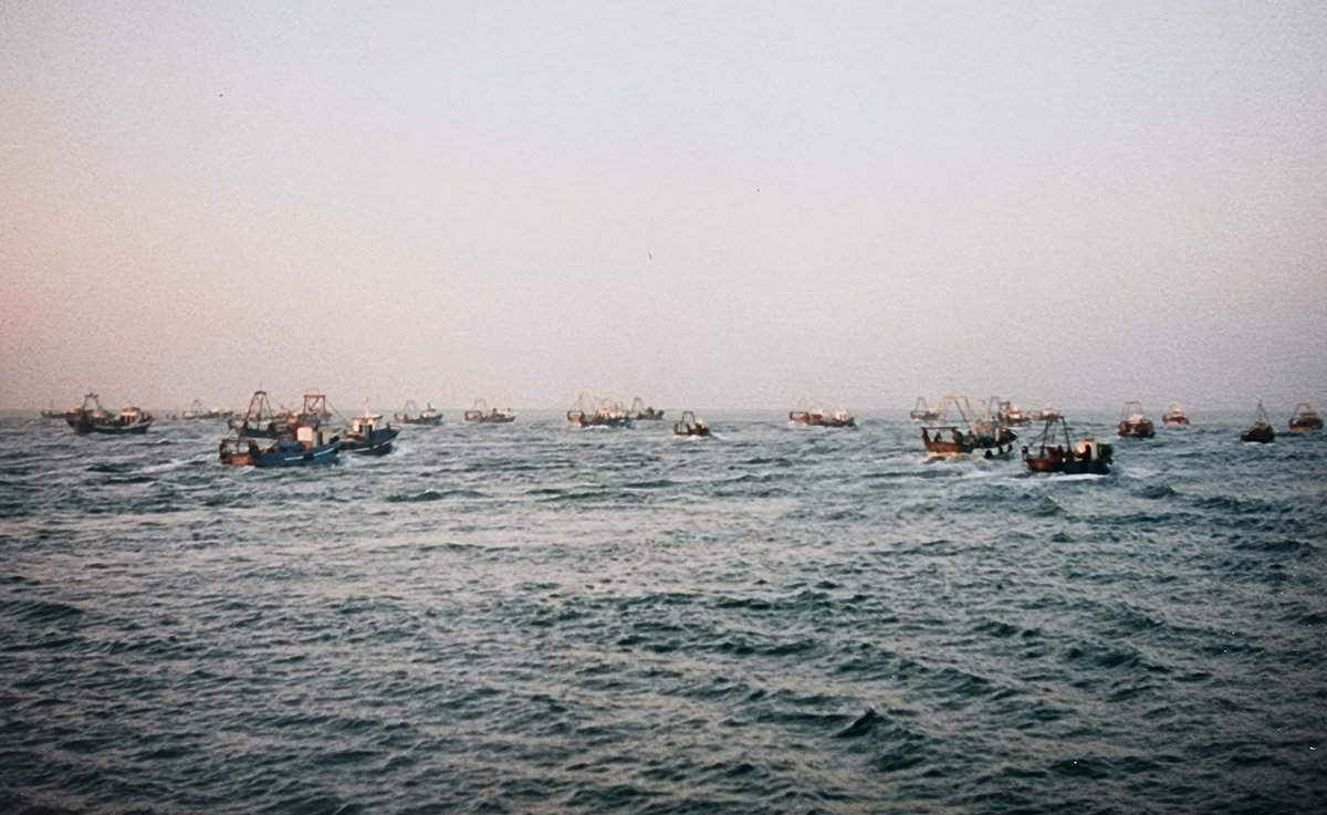 Imagen de Capitol 5 - 1990